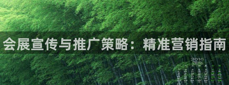 果博公司：会展宣传与推广策略：精准营销指南