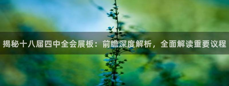 果博官方网：揭秘十八届四中全会展板：前瞻深度解析，全面解读重要议程