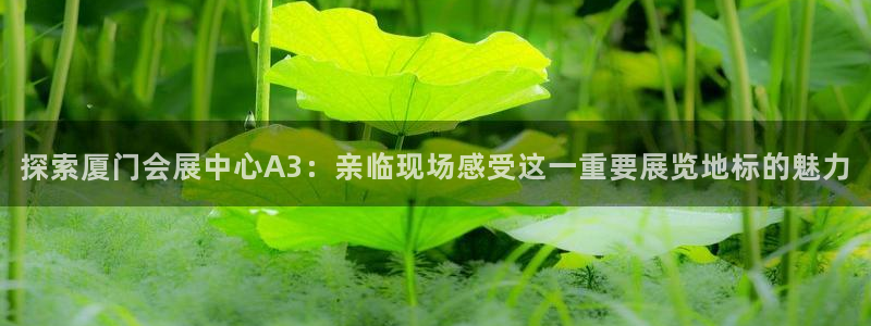 果博公司上分客服：探索厦门会展中心A3：亲临现场感受这一重要展览地标的魅力