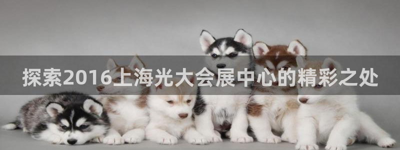 果博公司客服微信怎么加：探索2016上海光大会展中心的精彩之处