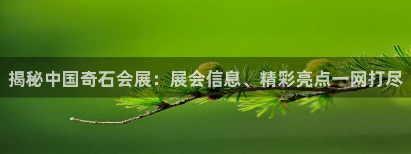果博平台真实吗安全吗可信吗安全吗：揭秘中国奇石会展：展会信息、精彩亮点一网打尽