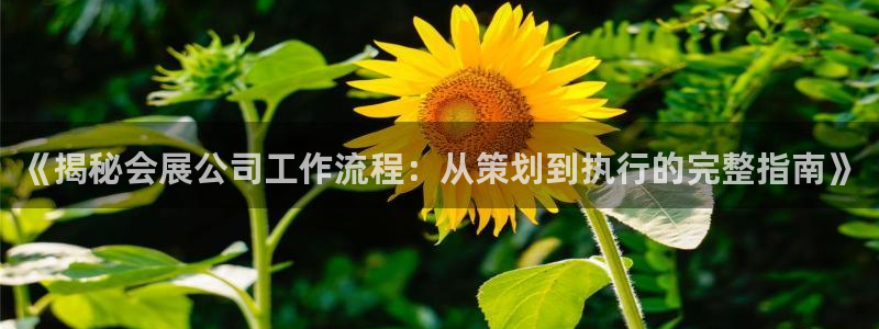 果博官网客服电话号码：《揭秘会展公司工作流程：从策划到执行的完整指南》