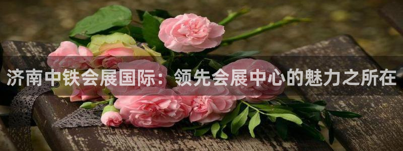 果博注册会员维wckk389：济南中铁会展国际：领先会展中心的魅力之所在