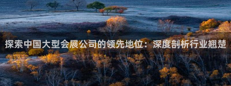 果博公司网站：探索中国大型会展公司的领先地位：深度剖析行业翘楚