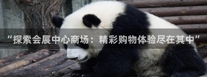 果博园简介：“探索会展中心商场：精彩购物体验尽在其中”