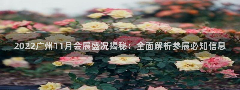 果博平台真实吗安全吗可信吗：2022广州11月会展盛况揭秘：全面解析参展必知信息