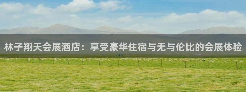 果博旗舰厅：林子翔天会展酒店：享受豪华住宿与无与伦比的会展体验