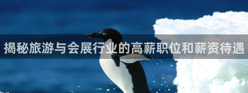 果博注册会员多少钱：揭秘旅游与会展行业的高薪职位和薪资待遇