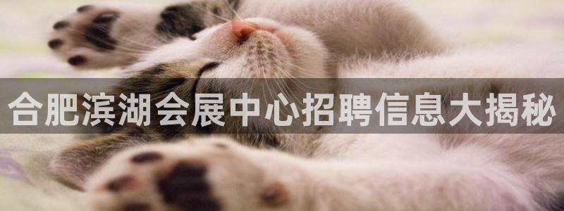 果博代理：合肥滨湖会展中心招聘信息大揭秘