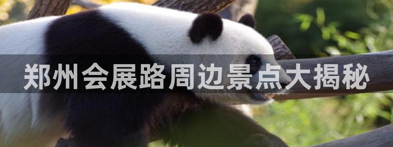 果博账号注册要钱吗：郑州会展路周边景点大揭秘