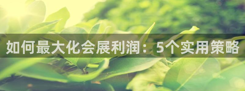 果博怎么注册账号：如何最大化会展利润：5个实用策略