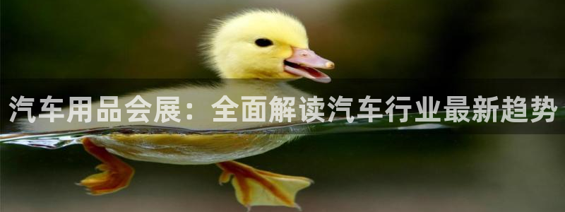 果博公司客服：汽车用品会展：全面解读汽车行业最新趋势