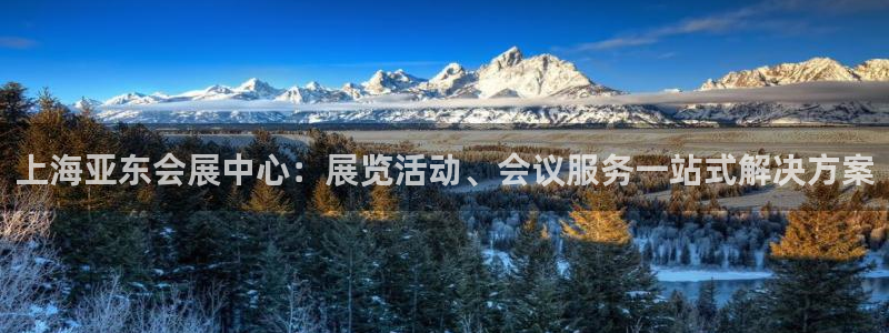 果博怎么注册账号：上海亚东会展中心：展览活动、会议服务一站式解决方案