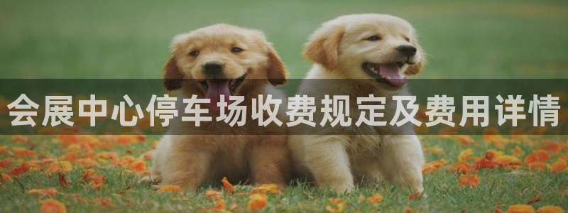 果博公司开户注册：会展中心停车场收费规定及费用详情