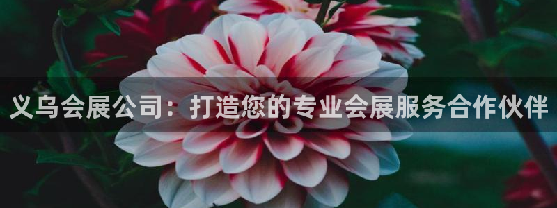 果博注册会员：义乌会展公司：打造您的专业会展服务合作伙伴