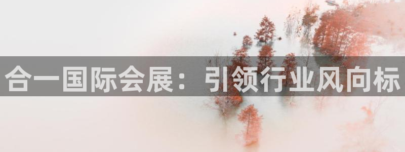 果博平台真实吗安全吗可信吗：合一国际会展：引领行业风向标