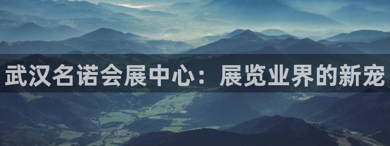 果博平台真实吗安全吗：武汉名诺会展中心：展览业界的新宠