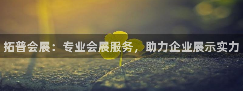 果博注册平台：拓普会展：专业会展服务，助