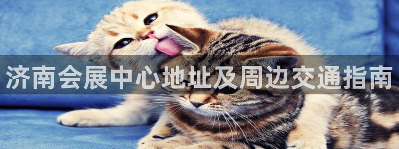 果博平台真实吗安全吗可信吗可靠吗：济南会展中心地址及周边交通指南