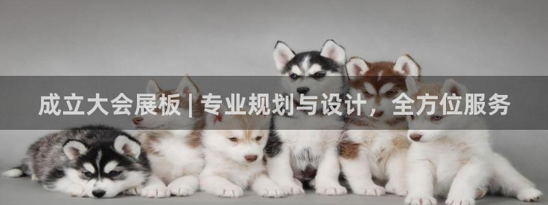 果博注册客服电话是多少号：成立大会展板 | 专业规划与设计，全方位服务