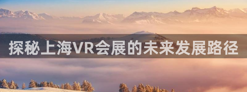 果博注册平台怎么注册账号：探秘上海VR会展的未来发展路径