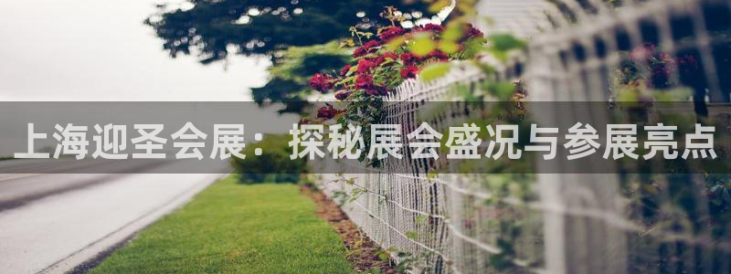 果博注册客服电话号码：上海迎圣会展：探秘展会盛况与参展亮点