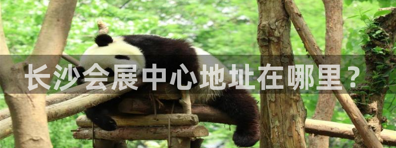 果博注册客服电话是多少号码：长沙会展中心地址在哪里？