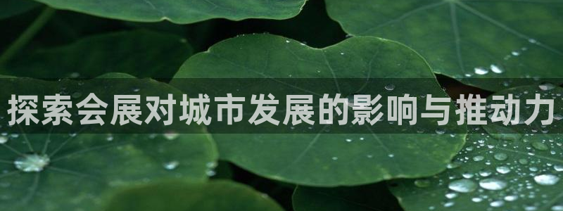 果搏东方客服：探索会展对城市发展的影响与推动力