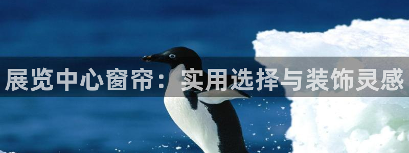 果博账号注册：展览中心窗帘：实用选择与装饰灵感