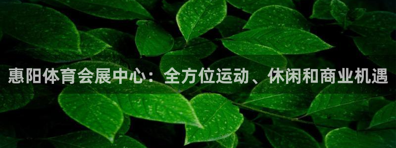 果博注册平台：惠阳体育会展中心：全方位运动、休闲和商业机遇