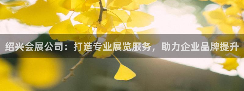 果博注册充值：绍兴会展公司：打造专业展览服务，助力企业品牌提升