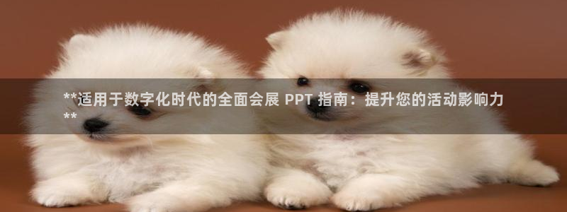 果博注册电话：**适用于数字化时代的全面会展 PPT 指南：提升您的活动影响力
**