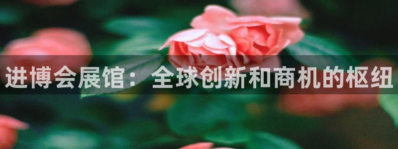果博代理怎么注册：进博会展馆：全球创新和商机的枢纽