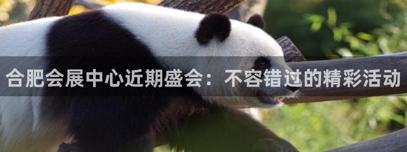 果博园简介：合肥会展中心近期盛会：不容错过的精彩活动