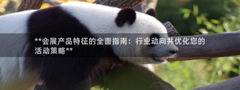 果博真人：**会展产品特征的全面指南：行业动向并优化您的
活动策略**