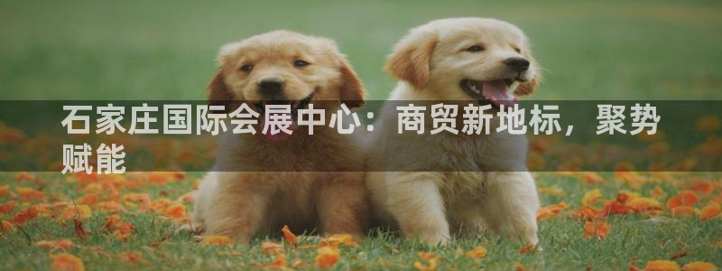 苹果电脑怎么下载博弈大师等软件：石家庄国际会展中心：商贸新地标，聚势
赋能