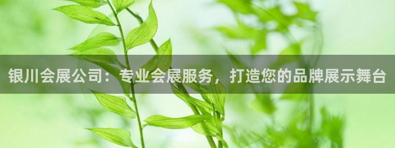 果博客服电话多少：银川会展公司：专业会展服务，打造您的品牌展示舞台