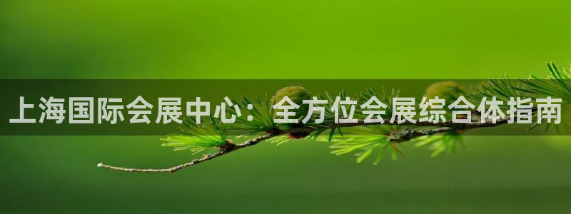 果博集团：上海国际会展中心：全方位会展综合体指南