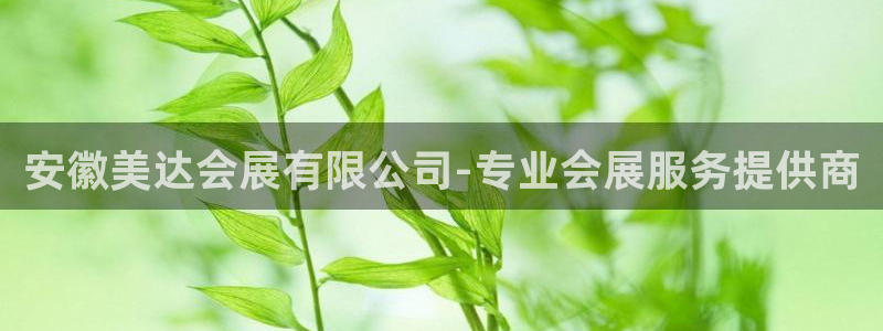 手机怎样下载果博：安徽美达会展有限公司-专业会展服务提供商