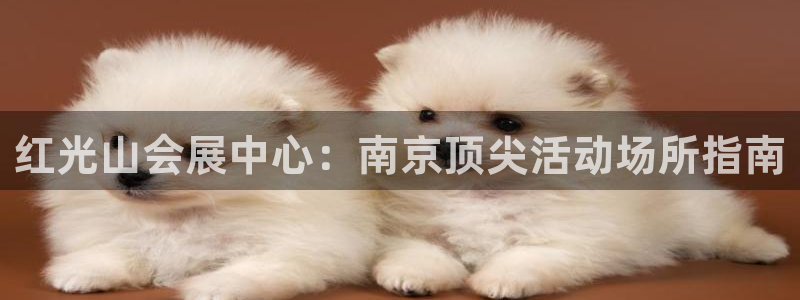 果博注册客服电话是多少啊：红光山会展中心：南京顶尖活动场所指南