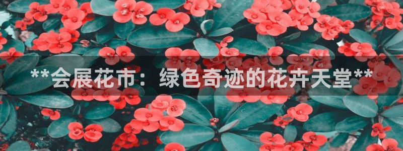 果博客服电话：**会展花市：绿色奇迹的花卉天堂**