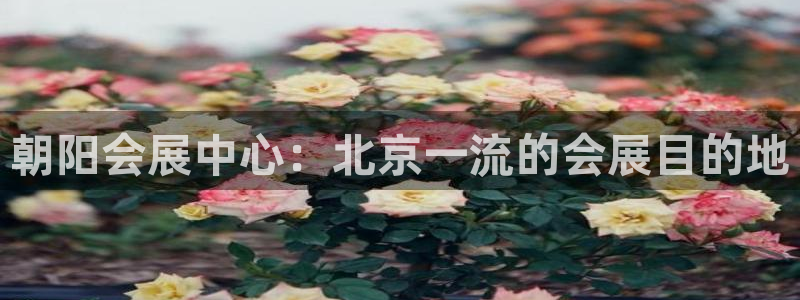 果博注册充值怎么充：朝阳会展中心：北京一流的会展目的地