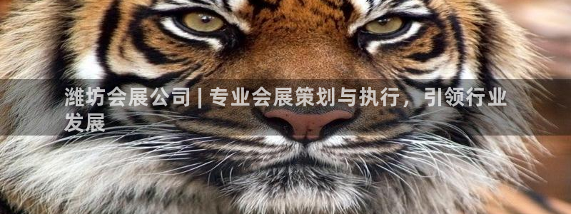 果博电话：潍坊会展公司 | 专业会展策划与执行，引领行业
发展