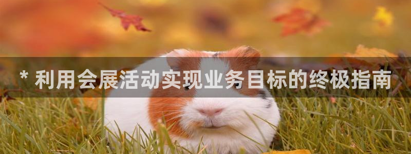 果博注册客服电话是多少啊：* 利用会展活动实现业务目标的终极指南
