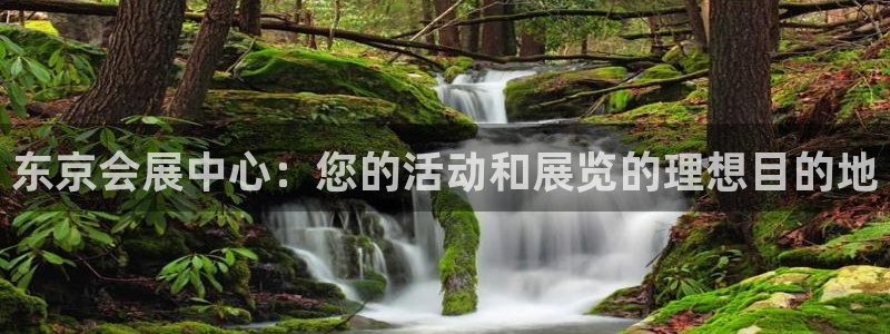 果博公司开户注册：东京会展中心：您的活动和展览的理想目的地