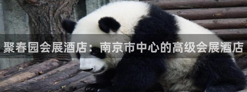 果博平台真实吗知乎怎么样：聚春园会展酒店：南京市中心的高级会展酒店