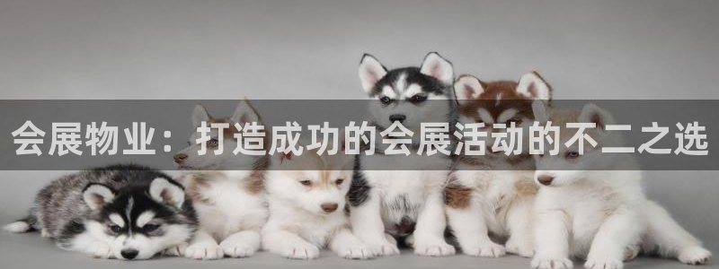 果博平台真实吗安全吗可靠吗：会展物业：打造成功的会展活动的不二之选
