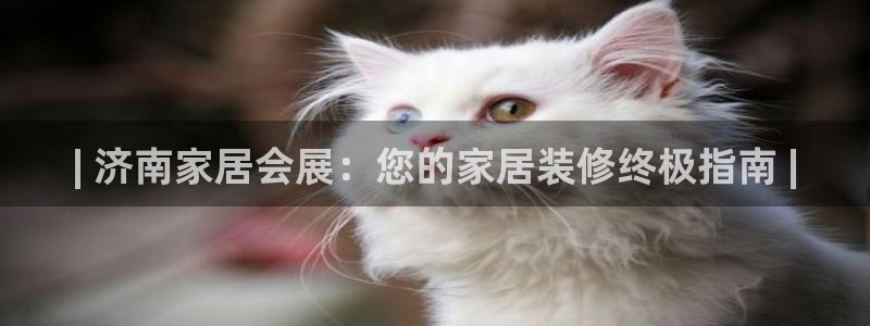 果博注册会员多少钱：| 济南家居会展：您的家居装修终极指南 |