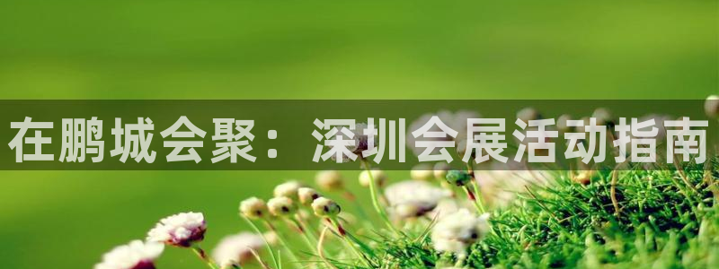 果博账号注册：在鹏城会聚：深圳会展活动指南