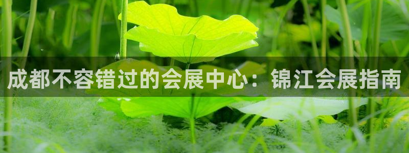 果博手机版官方下载：成都不容错过的会展中心：锦江会展指南